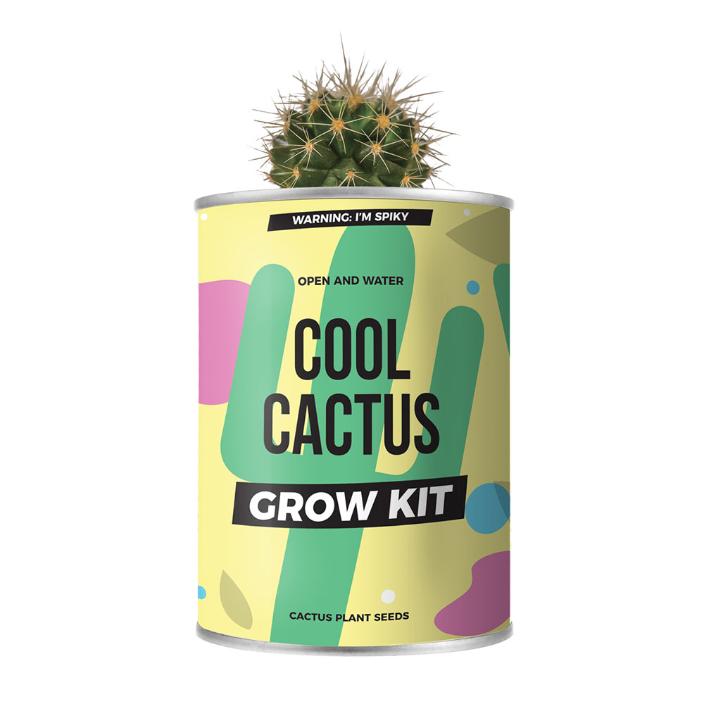 Kaktus aus der Dose