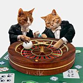 Roulette Katzenspielzeug