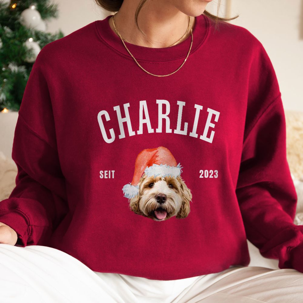 Personalisierbarer Pullover mit Haustier und Weihnachtsmütze Personalisierbarer Pullover mit Haustier und Weihnachtsmütze