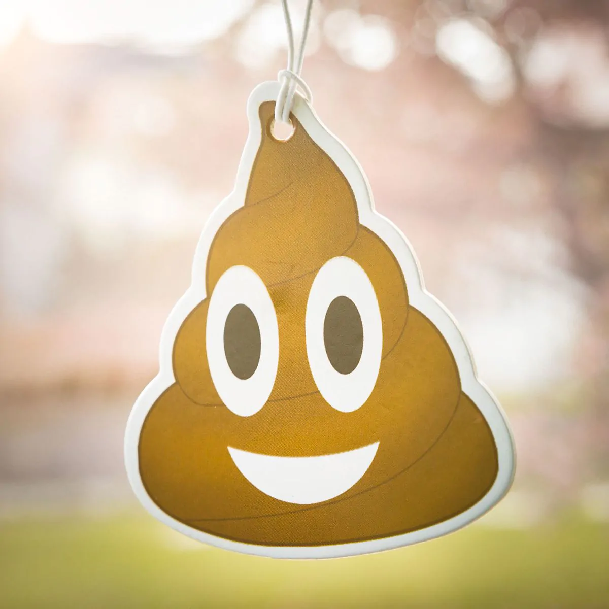 Emoji Poop - Lufterfrischer fürs Auto