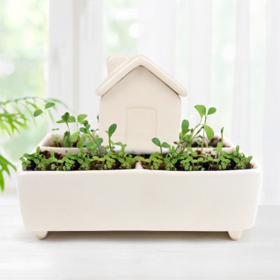 Mini-Pflanzenhaus mit Selbstbewässerung Mini-Pflanzenhaus mit Selbstbewässerung