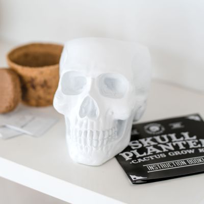 Totenkopf Pflanzset