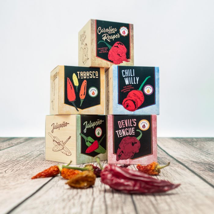 ecocube - Chili im Holzwürfel main product photo