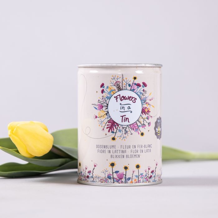Blumenwiese in der Dose main product photo