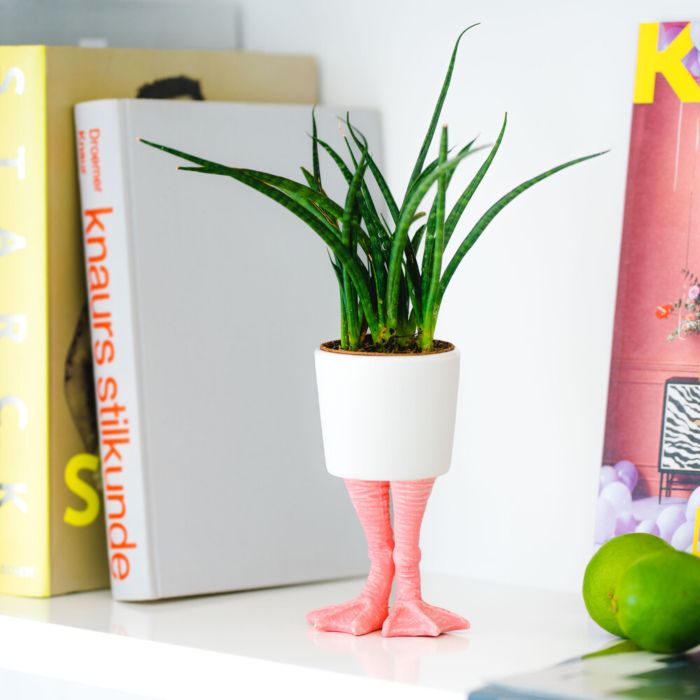 Witziger Blumentopf auf Flamingo-Füßen main product photo