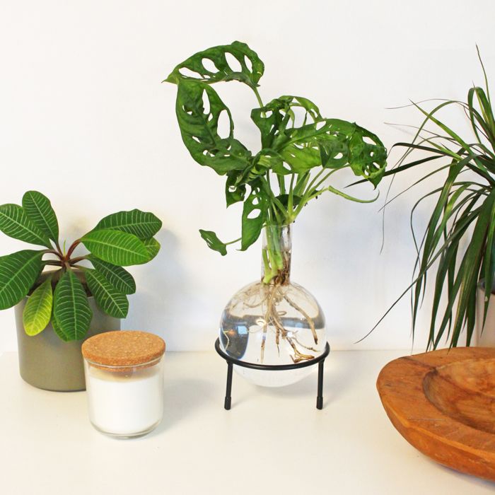 Hydro Vase Flora main product photo