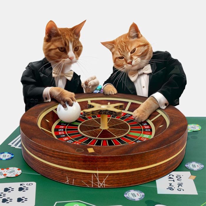Roulette Katzenspielzeug