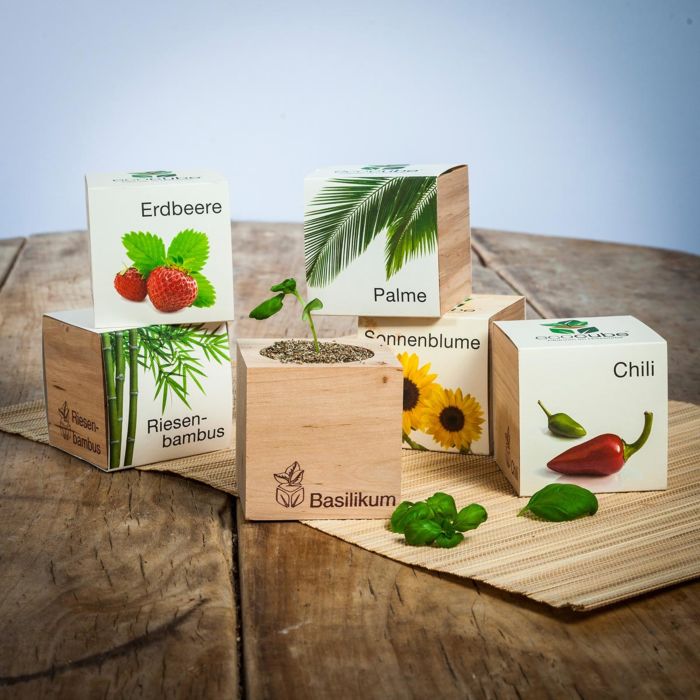 geschenkideen ecocube pflanzen im holzwürfel