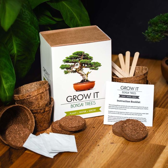 Grow It Bonsai-Bäume