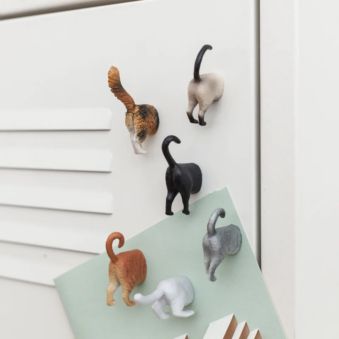 Katzen-Hintern Kühlschrankmagnete 6er-Set