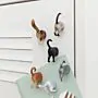 Katzen-Hintern Kühlschrankmagnete 6er-Set