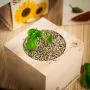 ecocube - Pflanze im Holzwürfel