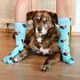 Personalisierbare Socken mit deinem Haustier