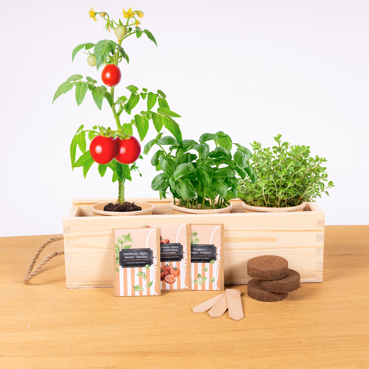 Eco Garden - Öko-Mini-Garten