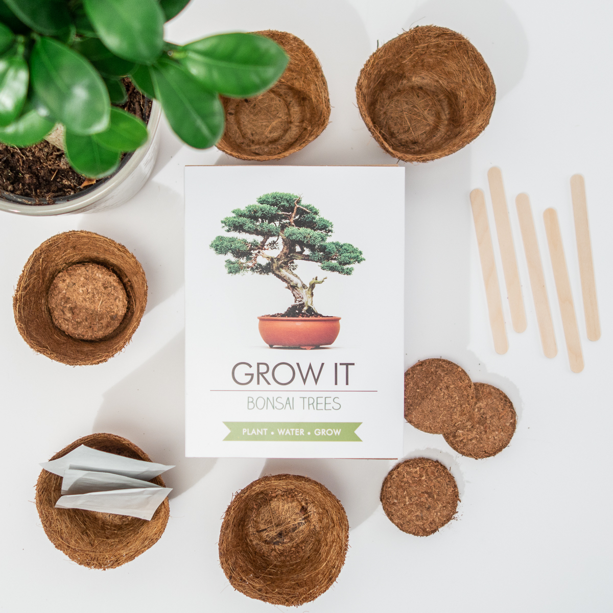 Grow It Bonsai-Bäume