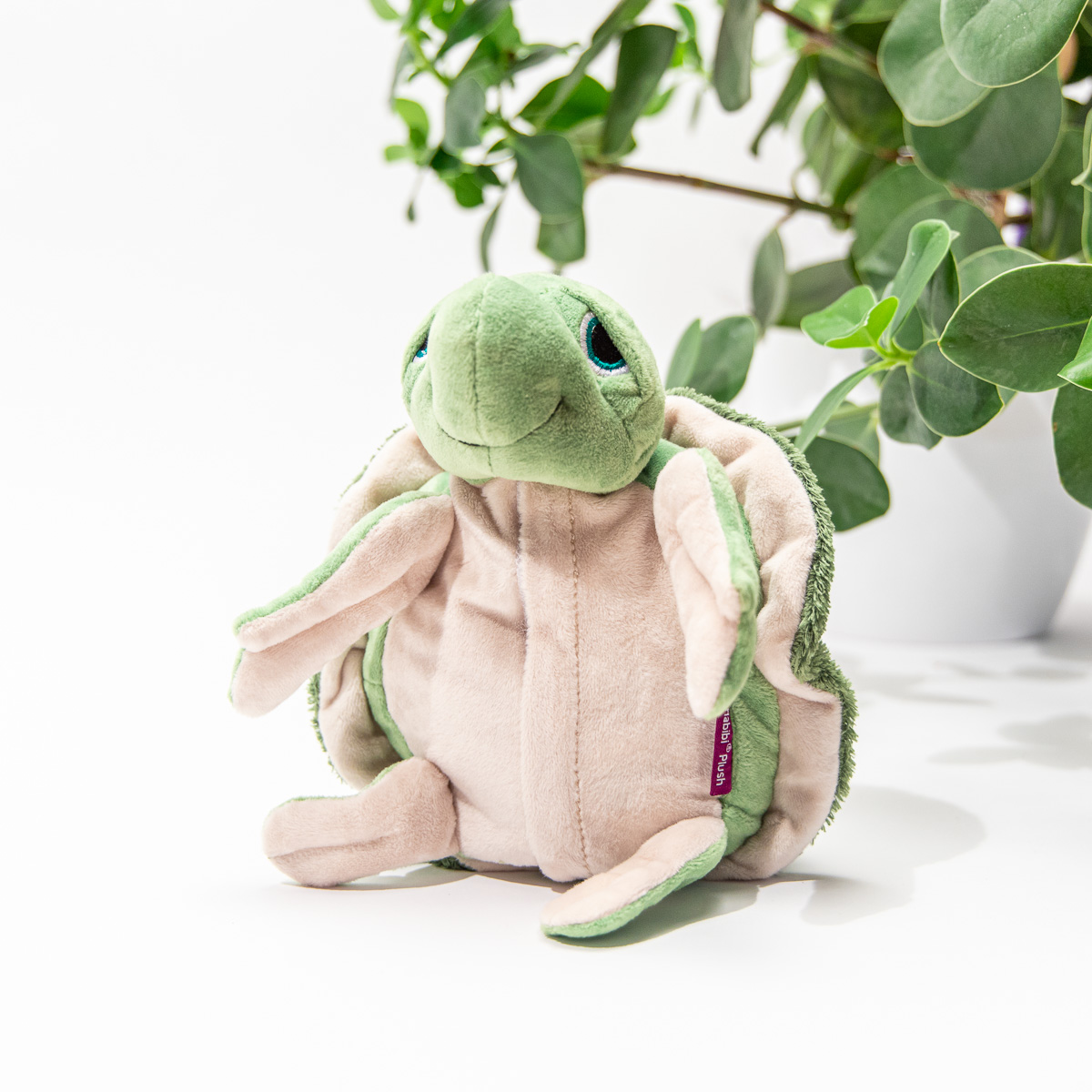 Wasserschildkröte Wärmekissen