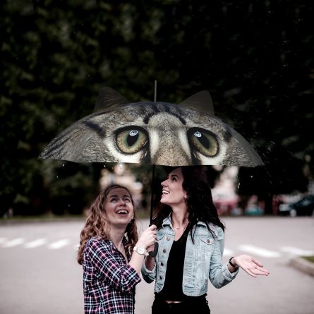Regenschirm mit Ohren Hund und Katze