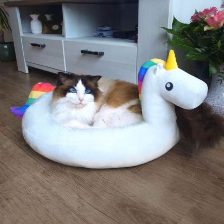 Einhorn Kuschelplatz für Hund und Katze