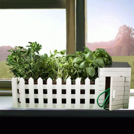 Mini Kräutergarten für drinnen